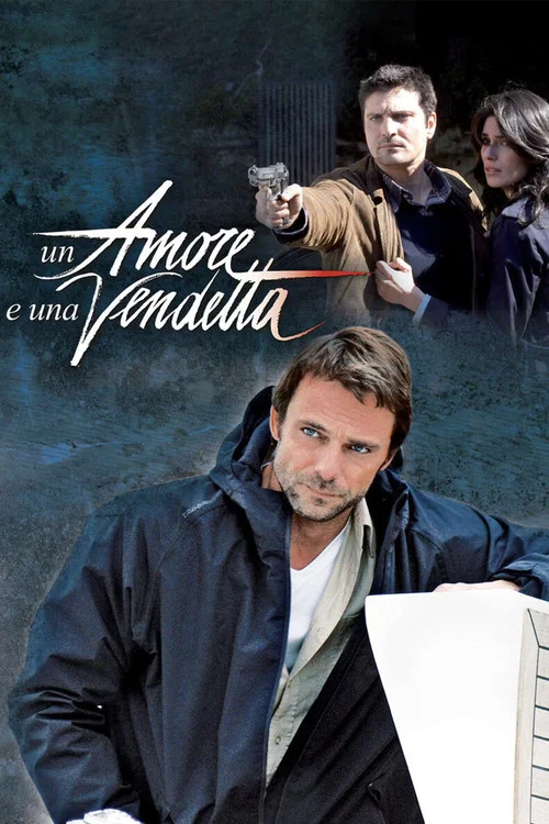 Series poster for Un amore e una vendetta (2011)