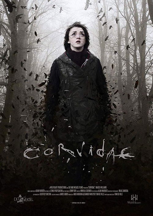 Movie poster for Corvidae (2018)