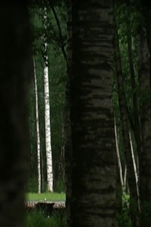 Movie poster for Крона (2010)