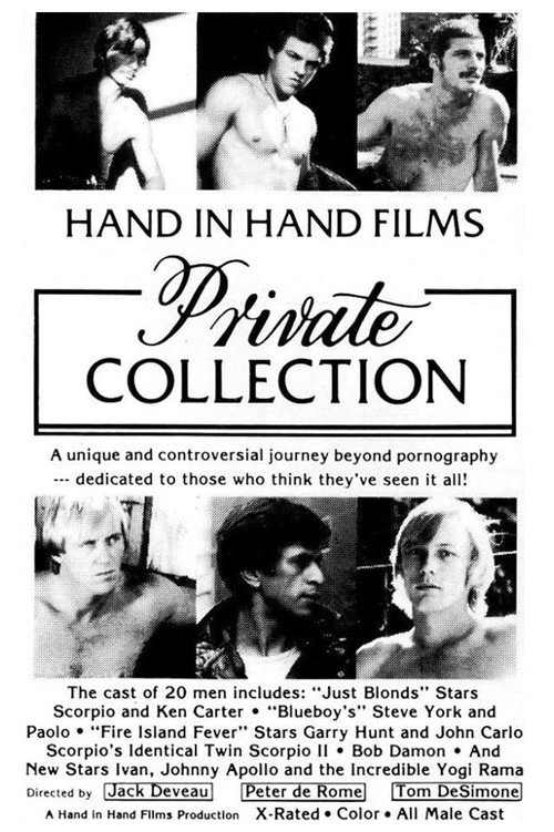 Movie poster for Private Collection (1980)