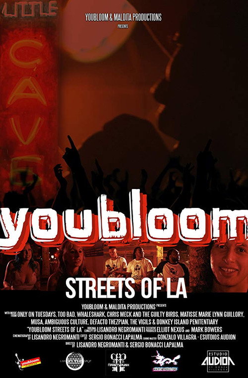 Movie poster for Youbloom: Streets of LA