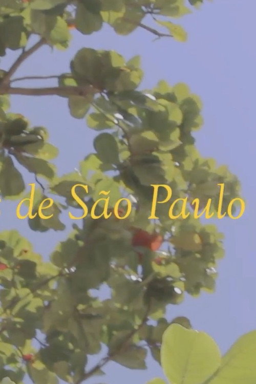 Movie poster for News from São Paulo (2019)