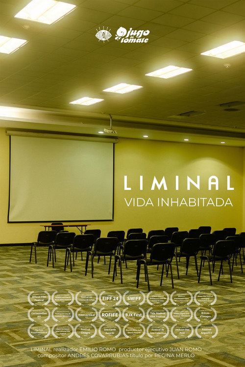 Movie poster for LIMINAL (2021)