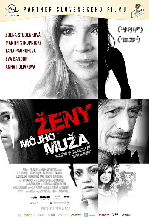Movie poster for Ženy môjho muža (2009)