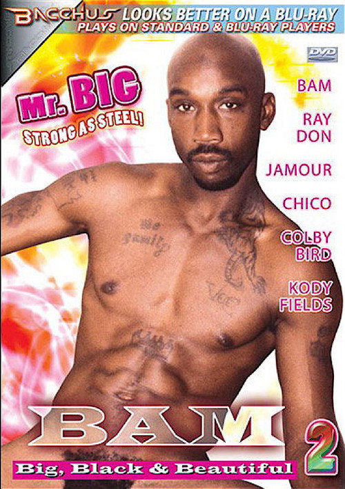 Movie poster for Bam: Big, Black & Beautiful 2 (2008)