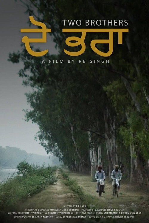 Movie poster for Two Brothers: Dō bharā (2018)