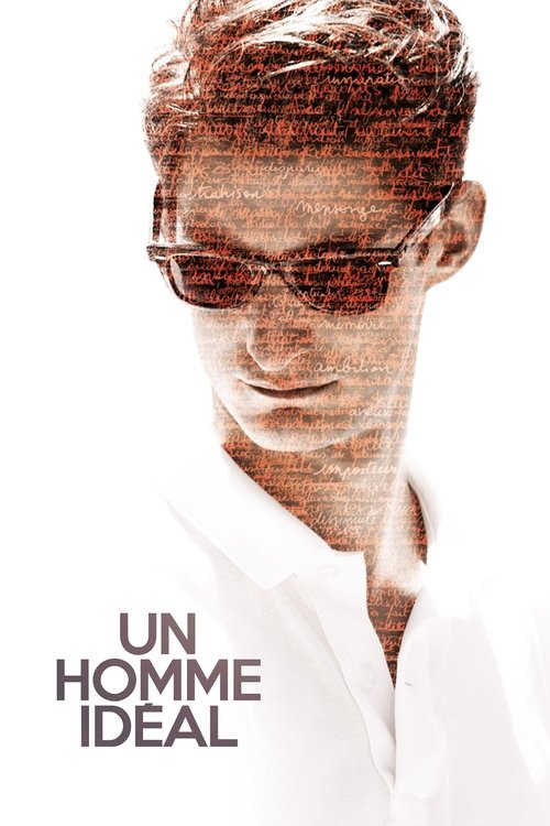 Movie poster for A Perfect Man (2015)