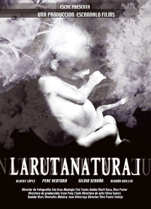 Movie poster for The Natural Route (2004)