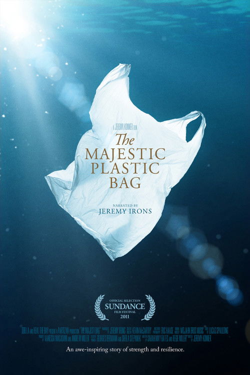 Movie poster for The Majestic Plastic Bag (2010)