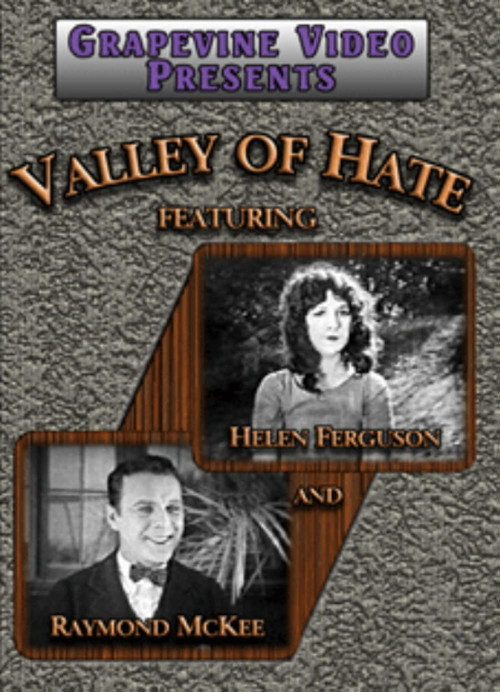 Movie poster for The Valley of Hate (1924)