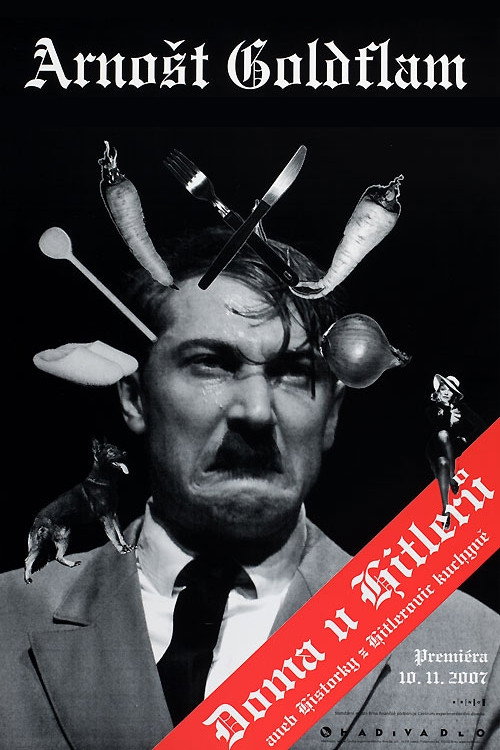 Movie poster for Doma u Hitlerů (2010)