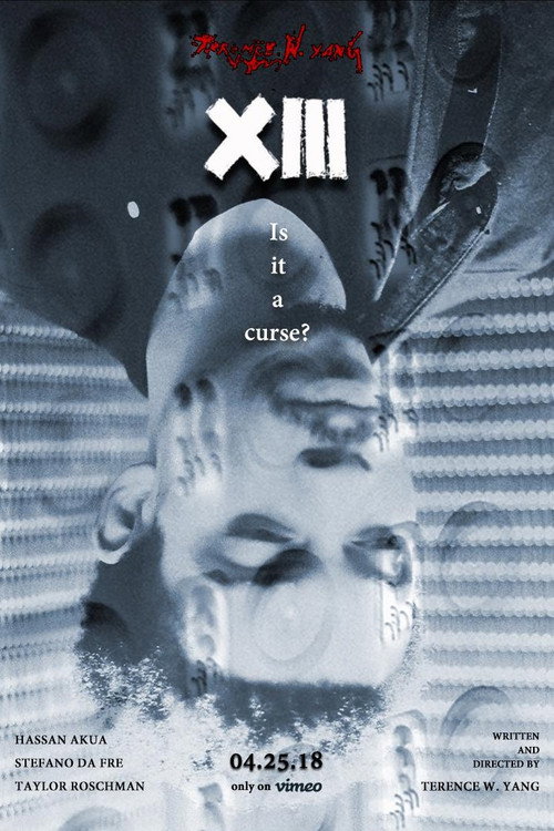 Movie poster for XIII (2018)