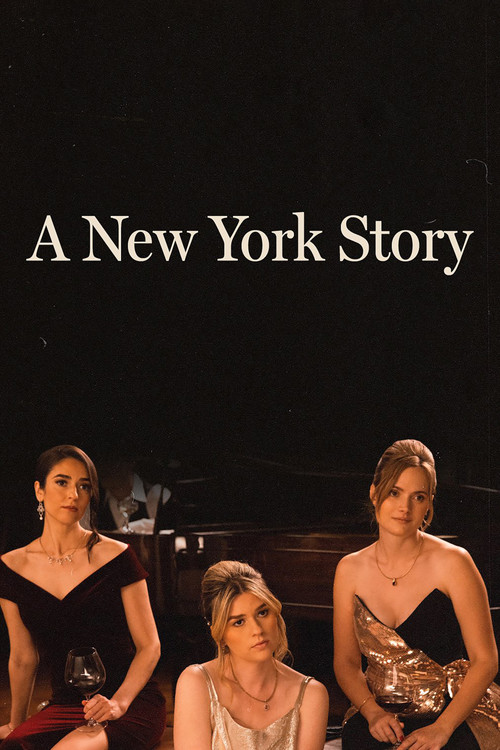Movie poster for A New York Story (2024)