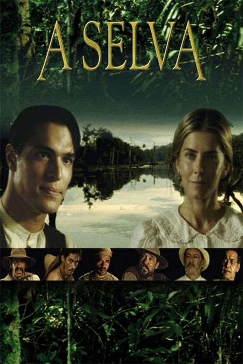 Movie poster for The Forest (2002)