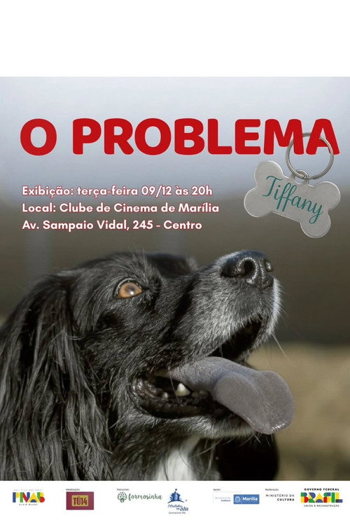 Movie poster for O Problema Tiffany (2025)
