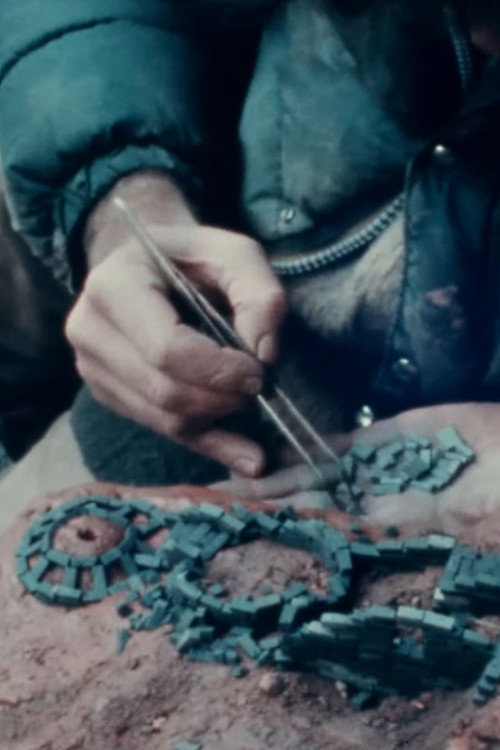 Movie poster for Dwellings Winter (1974)