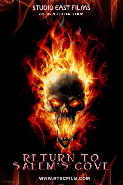 Movie poster for Return To Salem's Cove (2017)