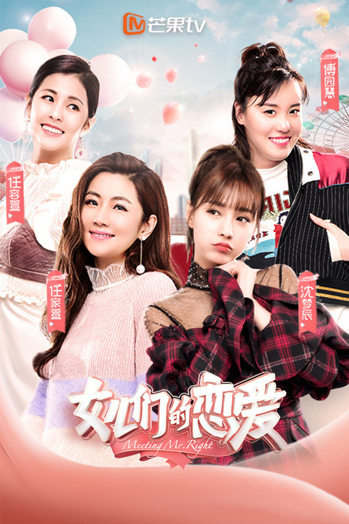 Meeting Mr. Right poster