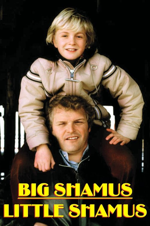 Big Shamus, Little Shamus poster