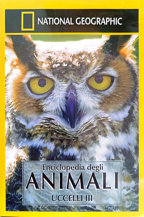 Movie poster for Owls: Silent Hunters (2001)