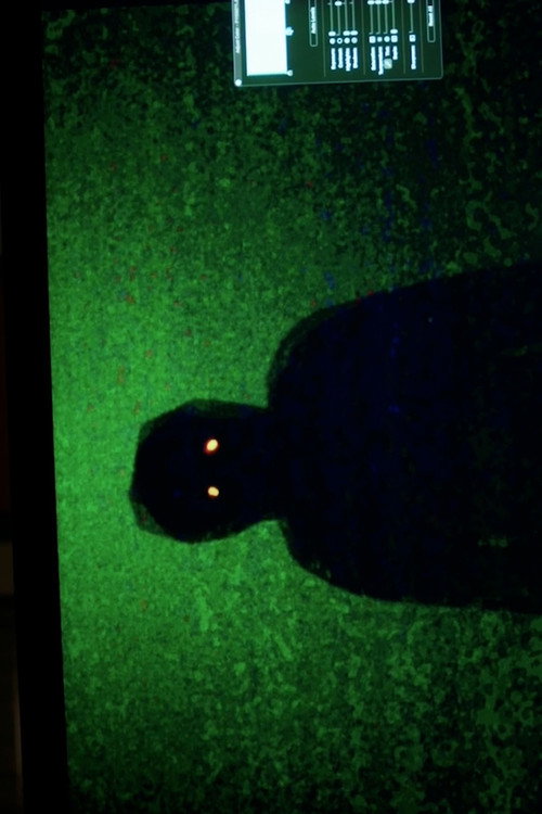 Movie poster for Dektol (2024)