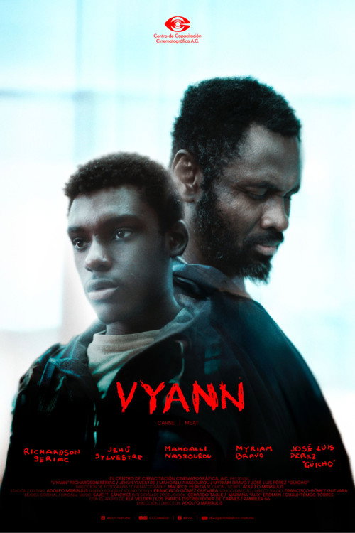 Movie poster for Vyann