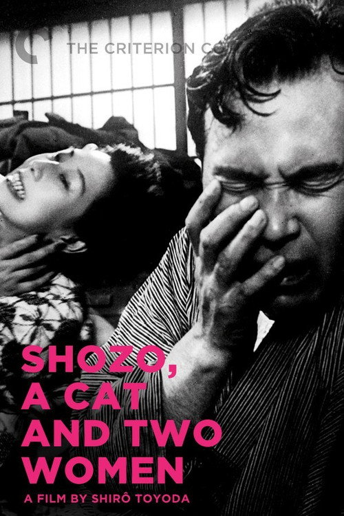 Movie poster for Shozo, a Cat and Two Women (1956)