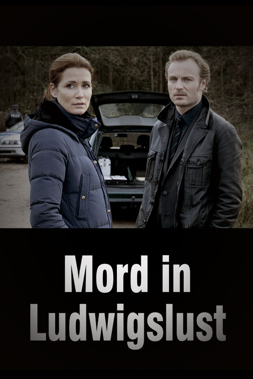 Movie poster for Mord in Ludwigslust (2012)