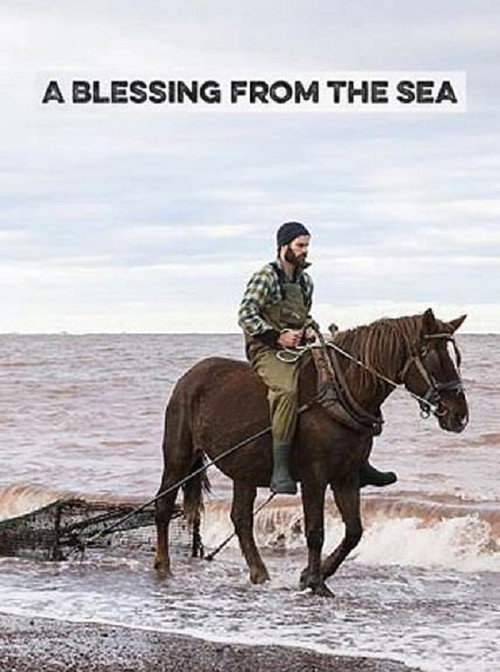 Movie poster for A Blessing from the Sea (2017)
