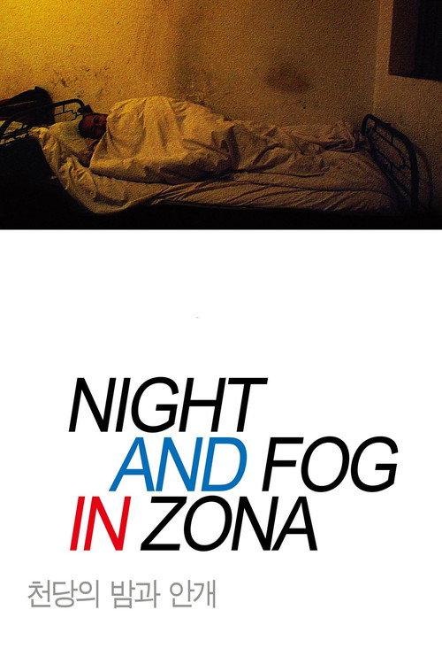 Movie poster for Night and Fog in Zona (2018)