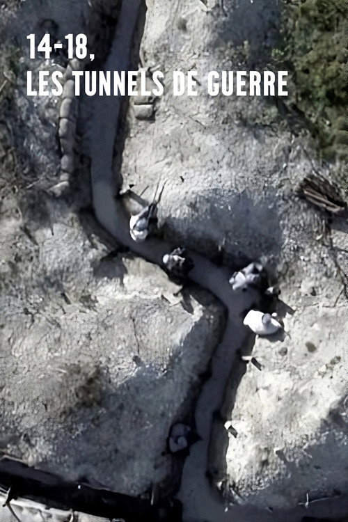 Movie poster for 14-18, les tunnels de guerre (2017)