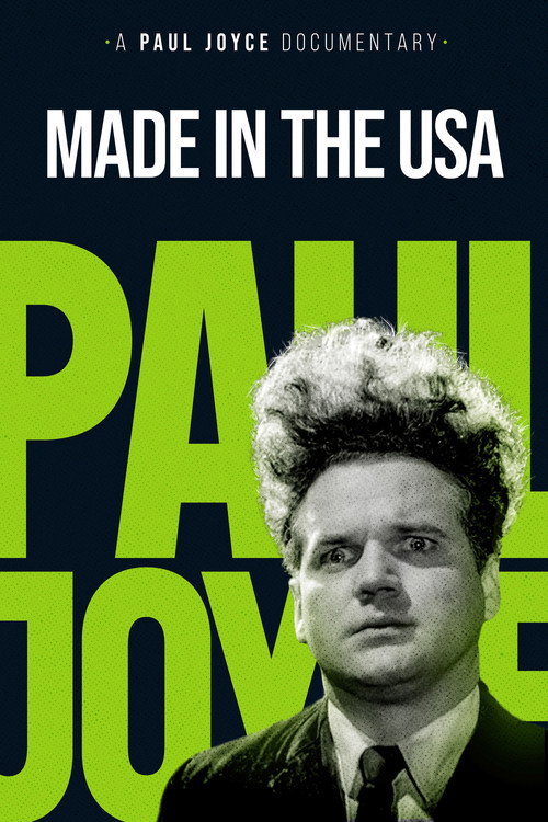 Movie poster for Made in the USA (1993)