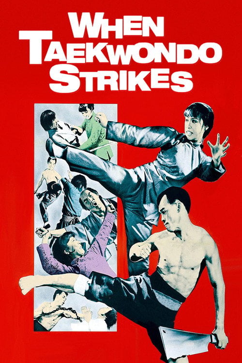 Movie poster for When Taekwondo Strikes (1973)