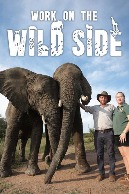Series poster for Work on the Wild Side (2020)