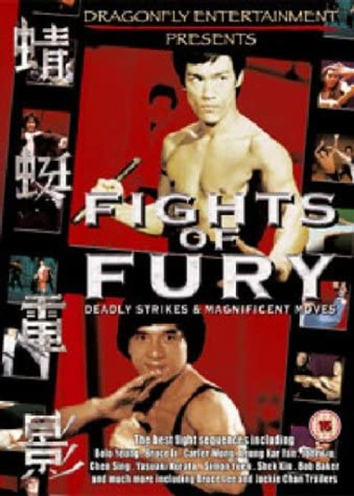 Movie poster for Fights of Fury (2004)