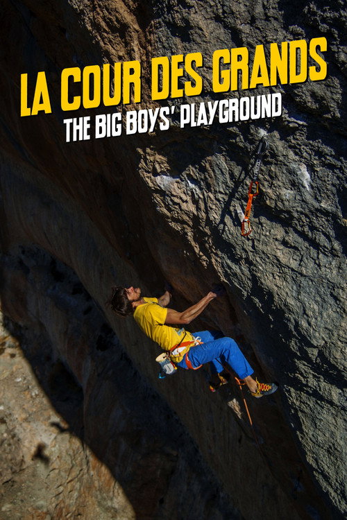 Movie poster for The Big Boys' Playground (2016)