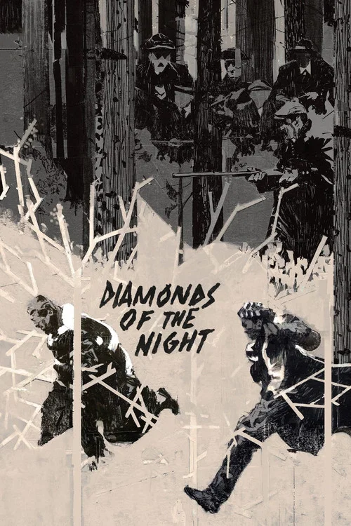 Movie poster for Diamonds of the Night (1964)
