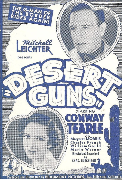 Movie poster for Desert Guns (1936)