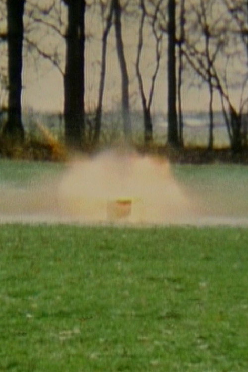 Movie poster for Box (1975)