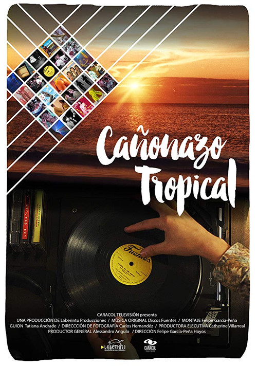 Movie poster for Tropical Hits (2015)