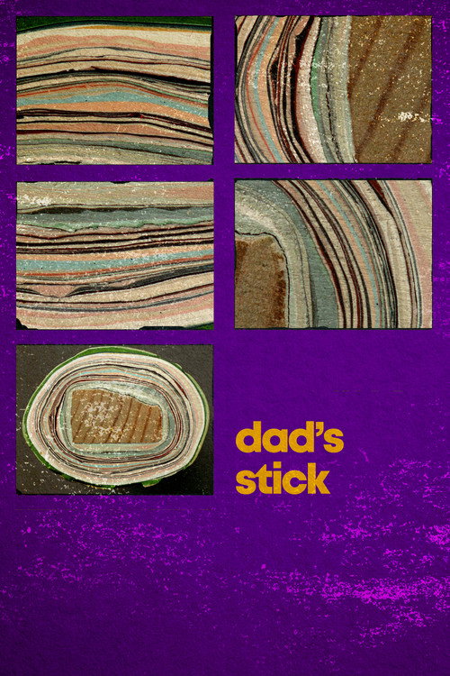 Movie poster for Dad's Stick (2012)