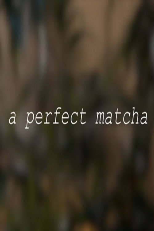 Movie poster for A Perfect Matcha (2024)