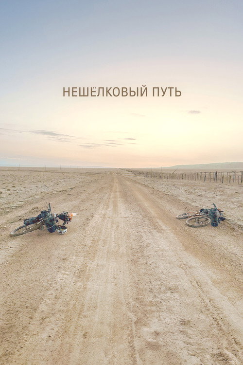 Movie poster for Non-Silk Road (2024)