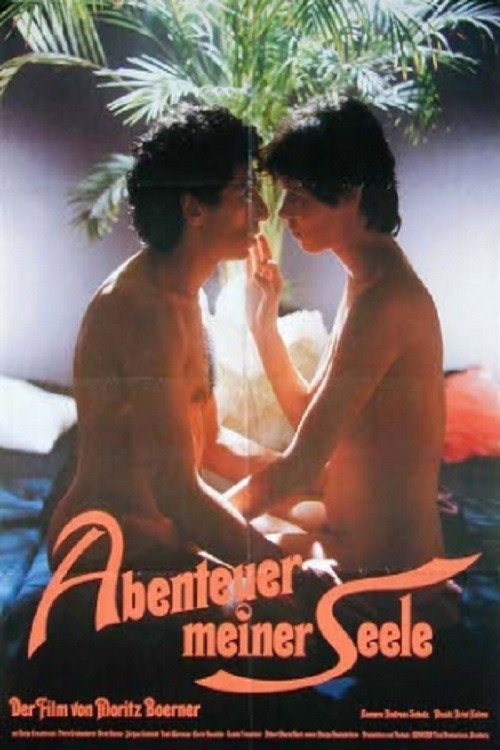 Movie poster for An Adventure of the Soul (1984)
