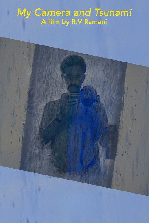 Movie poster for My Camera and Tsunami (2011)