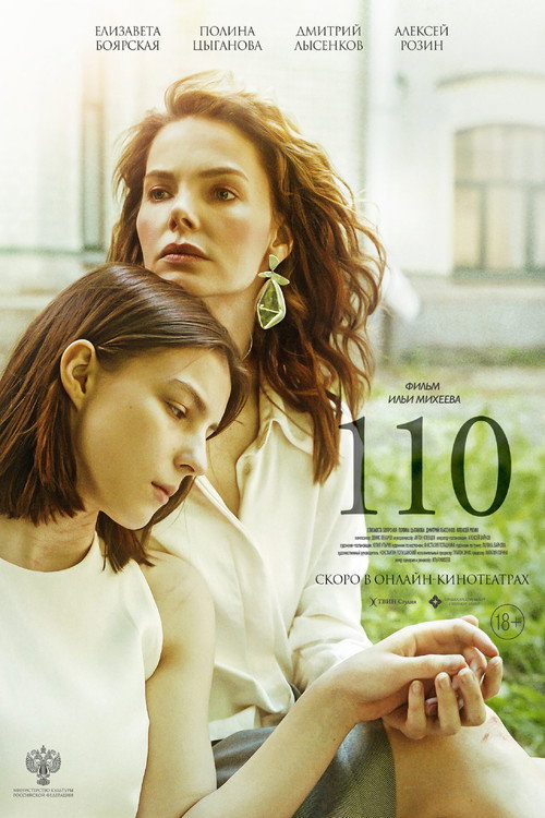 Movie poster for 110 (2024)