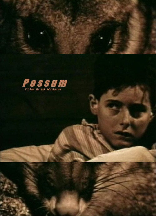 Movie poster for Possum (1997)