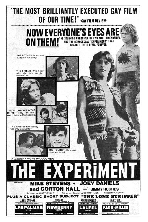 Movie poster for The Experiment (1973)