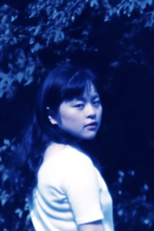 Movie poster for The Place of Hope (1995)