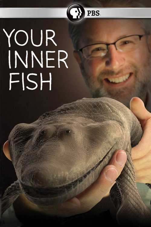Movie poster for Your Inner Fish (2014)